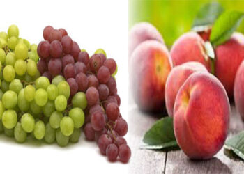 Διανομή τροφίμων ΤΕΒΑ – Από την Περιφερειακή Ενότητα Κοζάνης