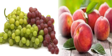 Διανομή τροφίμων ΤΕΒΑ – Από την Περιφερειακή Ενότητα Κοζάνης