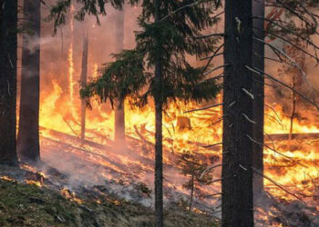 Μεγάλη πυρκαγιά στη Βέργα Καστοριάς – Πυροσβεστικό όχημα κατέφθασε και από την Πτολεμαΐδα