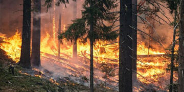 Μεγάλη πυρκαγιά στη Βέργα Καστοριάς – Πυροσβεστικό όχημα κατέφθασε και από την Πτολεμαΐδα