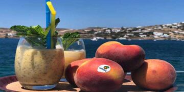 ΑΣΕΠΟΠ Βελβεντού: Σε εξαγωγές το 50% της φετινής παραγωγής ροδάκινου