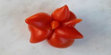 Έργο της φύσης η ντομάτα που βρέθηκε σε κήπο στο Μικρόβαλτο Κοζάνης! (φωτο)