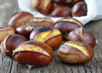 Μεγάλη ζήτηση αλλά μειωμένη παραγωγή για τα κάστανα Πενταλόφου – Τα κάστανα Βοΐου περιζήτητα στο Σικάγο!