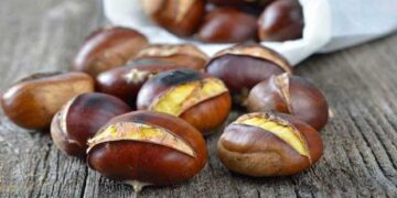 Μεγάλη ζήτηση αλλά μειωμένη παραγωγή για τα κάστανα Πενταλόφου – Τα κάστανα Βοΐου περιζήτητα στο Σικάγο!