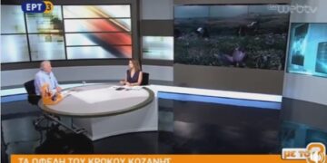 Τα οφέλη του κρόκου Κοζάνης παρουσίασε ο πρόεδρος του Συνεταιρισμού Κροκοπαραγωγών στην ΕΡΤ3 (video)