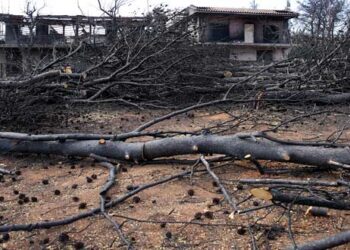 Εκθεση Συνολάκη: Έκαναν λάθος εκτίμηση στο Μάτι -Πώς δεν θα είχαμε νεκρούς