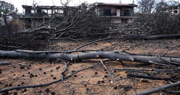 Εκθεση Συνολάκη: Έκαναν λάθος εκτίμηση στο Μάτι -Πώς δεν θα είχαμε νεκρούς