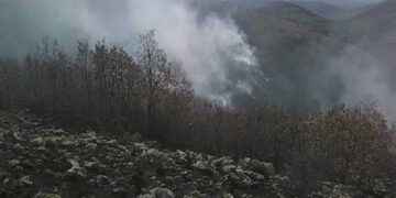 Υπό μερικό έλεγχο η πυρκαγιά στον Βυθό – Έκαψε 50 στρέμματα δασικής έκτασης