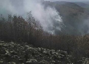 Πυρκαγιά σε εξέλιξη στο Βυθό Βοΐου