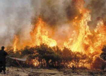 Υπό μερικό έλεγχο η φωτιά στη Σμίξη Γρεβενών