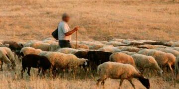 Γρεβενά: Στο νοσοκομείο τσοπάνος από επίθεση σκύλου