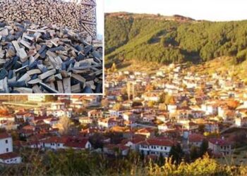 Διαμαρτυρίες για την καθυστέρηση ξύλευσης στη Βλάστη