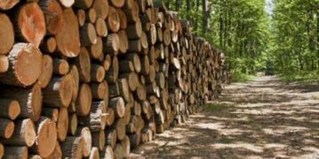 Νέα διαμαρτυρία στα Γρεβενά – Δεν υπήρξε λύση για την κοπή και προμήθεια καυσόξυλων