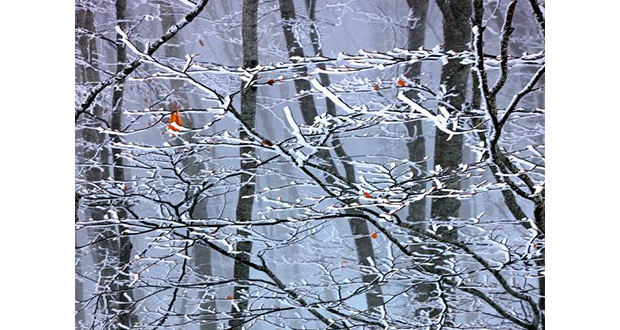 Όρος Μουρίκι! Η φύση το χειμώνα είναι ο μεγαλύτερος καλλιτέχνης! - e-ptolemeos.gr