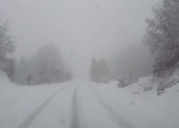 Δείτε βίντεο από την …επίσκεψη του “Φοίβου” στα ορεινά των Γρεβενών!