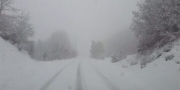 Δείτε βίντεο από την …επίσκεψη του “Φοίβου” στα ορεινά των Γρεβενών!