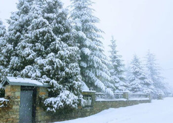 Νυμφαίο μες στο χιόνι! Μια υπέροχη φωτογραφία!