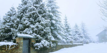 Νυμφαίο μες στο χιόνι! Μια υπέροχη φωτογραφία!