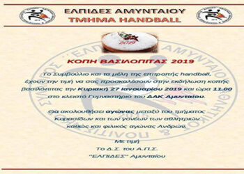 Κοπή βασιλόπιτας για το τμήμα Handball των Ελπίδων Αμυνταίου
