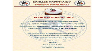 Κοπή βασιλόπιτας για το τμήμα Handball των Ελπίδων Αμυνταίου