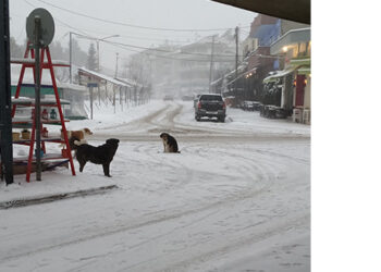 Κλειστοί την Πέμπτη οι Παιδικοί Σταθμοί του Δήμου Αμυνταίου