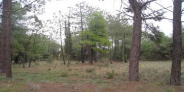 Επανακάμπτει το Δασονομείο στην Πτολεμαΐδα, σε χώρο που παραχωρεί ο Δήμος Εορδαίας   