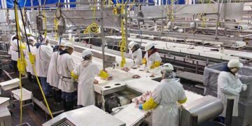 Στο «κόκκινο» 1 στις 2 μεταποιητικές της Βόρειας Ελλάδας – Μελέτη του ΣΒΒΕ