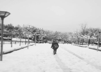 Αναστολή λειτουργίας του ΤΕΙ Δυτικής Μακεδονίας για την Παρασκευή