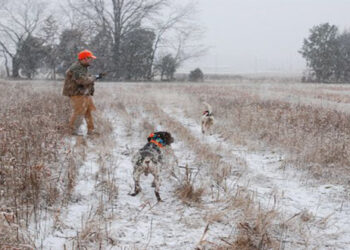 Απαγόρευση του κυνηγιού λόγω χιονοκάλυψης – Ενημέρωση του Κυνηγετικού Συλλόγου Κοζάνης