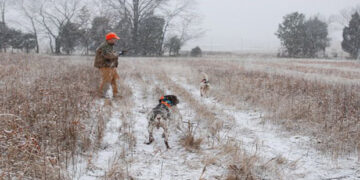 Απαγόρευση του κυνηγιού λόγω χιονοκάλυψης – Ενημέρωση του Κυνηγετικού Συλλόγου Κοζάνης