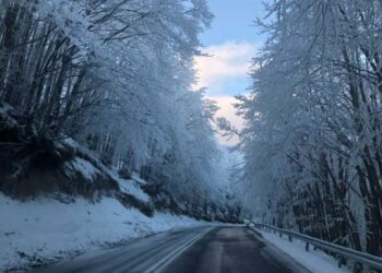 Γενική Περιφερειακή Αστυνομική Διεύθυνση Δυτικής Μακεδονίας: Η κατάσταση στο οδικό δίκτυο ( ώρα 12:00 )