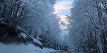 Γενική Περιφερειακή Αστυνομική Διεύθυνση Δυτικής Μακεδονίας: Η κατάσταση στο οδικό δίκτυο ( ώρα 12:00 )