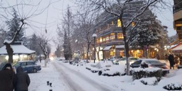 Ερώτηση της Λαϊκής Συσπείρωσης προς τον Αντιδήμαρχο Πρασίνου Εορδαίας για την κατάσταση των δένδρων μετά την χιονόπτωση