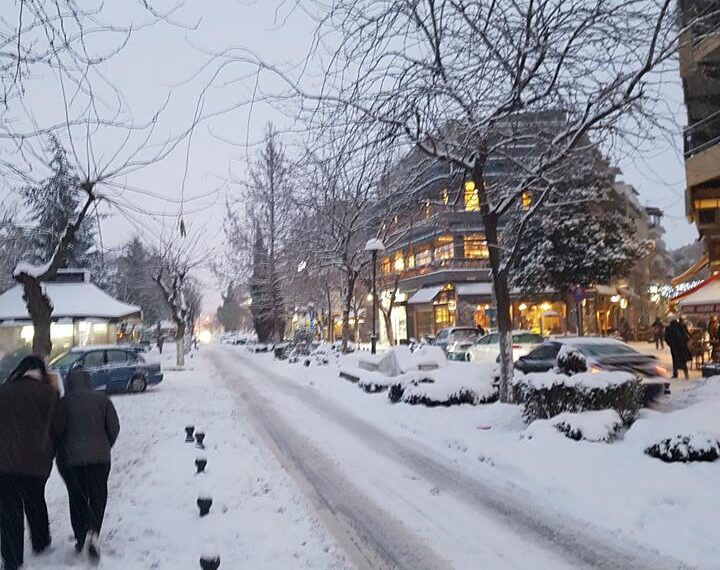 Ερώτηση της Λαϊκής Συσπείρωσης προς τον Αντιδήμαρχο Πρασίνου Εορδαίας για την κατάσταση των δένδρων μετά την χιονόπτωση