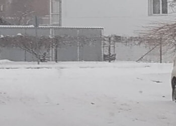 Συνεχίζεται η σφοδρή χιονόπτωση στην Πτολεμαΐδα – Το έστρωσε και συνεχίζει (video)