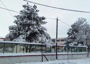 Η ανακοίνωση του Δήμου Εορδαίας για τα σχολεία την Πέμπτη