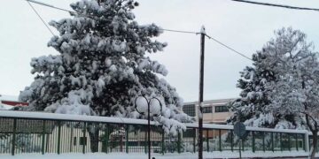 Η ανακοίνωση του Δήμου Εορδαίας για τα σχολεία την Πέμπτη