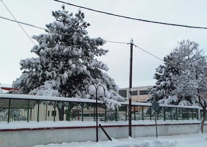 Η ανακοίνωση του Δήμου Εορδαίας για τα σχολεία την Πέμπτη