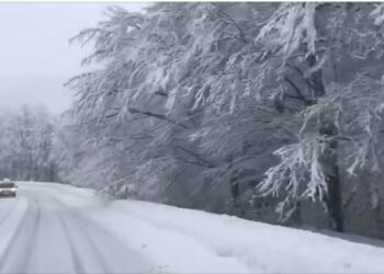 Φλώρινα: Πανέμορφες εικόνες προς το Χιονοδρομικό Κέντρο Βίγλας στα λευκά (video)