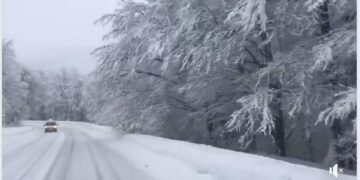 Φλώρινα: Πανέμορφες εικόνες προς το Χιονοδρομικό Κέντρο Βίγλας στα λευκά (video)