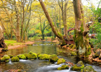 Ορειβατική Λέσχη Εορδαίας: Ανάβαση από τον Αγ. Νικόλαο Νάουσας