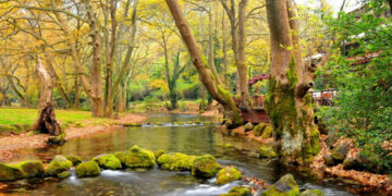 Ορειβατική Λέσχη Εορδαίας: Ανάβαση από τον Αγ. Νικόλαο Νάουσας