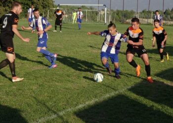 Το ξέσπασμα του Σωτήρη Μαυροδήμου σε πατέρα-προπονητή της κερκίδας (βίντεο)