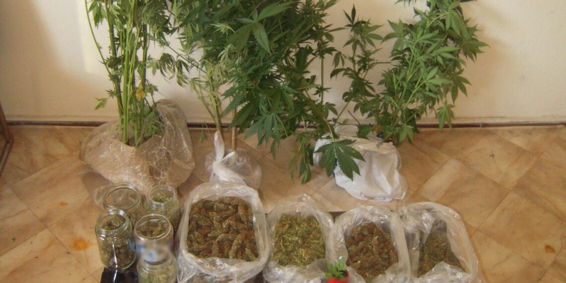 Σύλληψη 47χρονου σε περιοχή των Γρεβενών, για καλλιέργεια δενδρυλλίων κάνναβης και κατοχή ναρκωτικών ουσιών