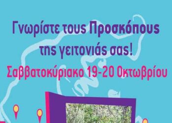 Προσκοπικό Open day Γνωρίστε τους Προσκόπους της γειτονιάς σας
