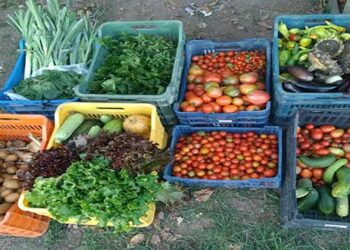 Τα μέλη του Περιαστικού Λαχανόκηπου Κοζάνης στηρίζουν το Συσσίτιο Απόρων Δημοτών