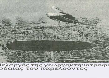 O Πελαργός της γεωργοκτηνοτροφικής Εορδαίας του παρελθόντος – Από τη στήλη του κ. Γ. Καζαντζή στον Παλμό 2/10/2019