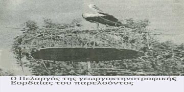O Πελαργός της γεωργοκτηνοτροφικής Εορδαίας του παρελθόντος – Από τη στήλη του κ. Γ. Καζαντζή στον Παλμό 2/10/2019
