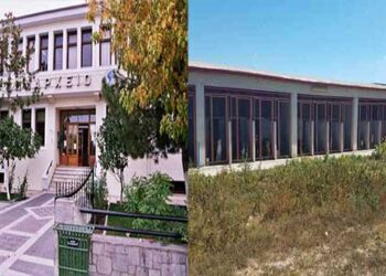 Ο Δήμος Εορδαίας για τη λειτουργία του Κυνοκομείου – Προσωρινός χώρος φιλοξενίας αδέσποτων στο χώρο της πρώην ΑΕΒΑΛ- Οι ενέργειες της δημοτικής αρχής