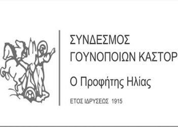Workshop με θέμα: «NEW METHOD’S & TECHNOLOGY IN THE FUR INDUSTRY» για αποφοίτους σχολών μόδας από το Σύνδεσμο Γουνοποιών Καστοριάς